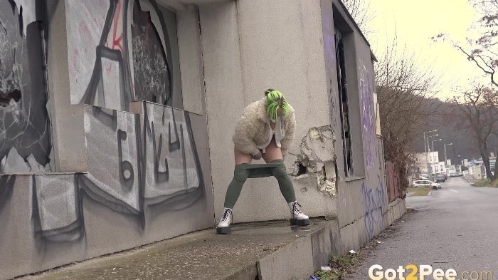 [G2P] 2025-04-01 - Messy Public Pee